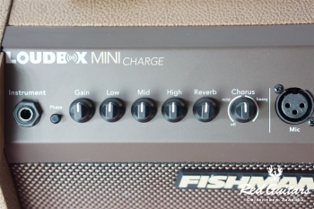 Loudbox Mini Charge